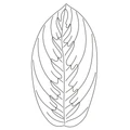 Плед-коврик МАРАНТА 120х230 см/ Коллекция NATUREL 2406